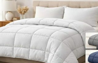 WhatsApp Image 2026-01-29 at 2.29.22 PM